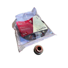 Kép betöltése a Galéria nézegetőbe, Valve Stem Seal Set - Bukhanka (Classic 2.4L &amp; 2.9L), Hunter &amp; 469 OEM 24-1007036 - - UAZ spare parts